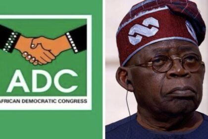 ADC to Tinubu: GDP Rebasing Can’t Hide Economic Hardship