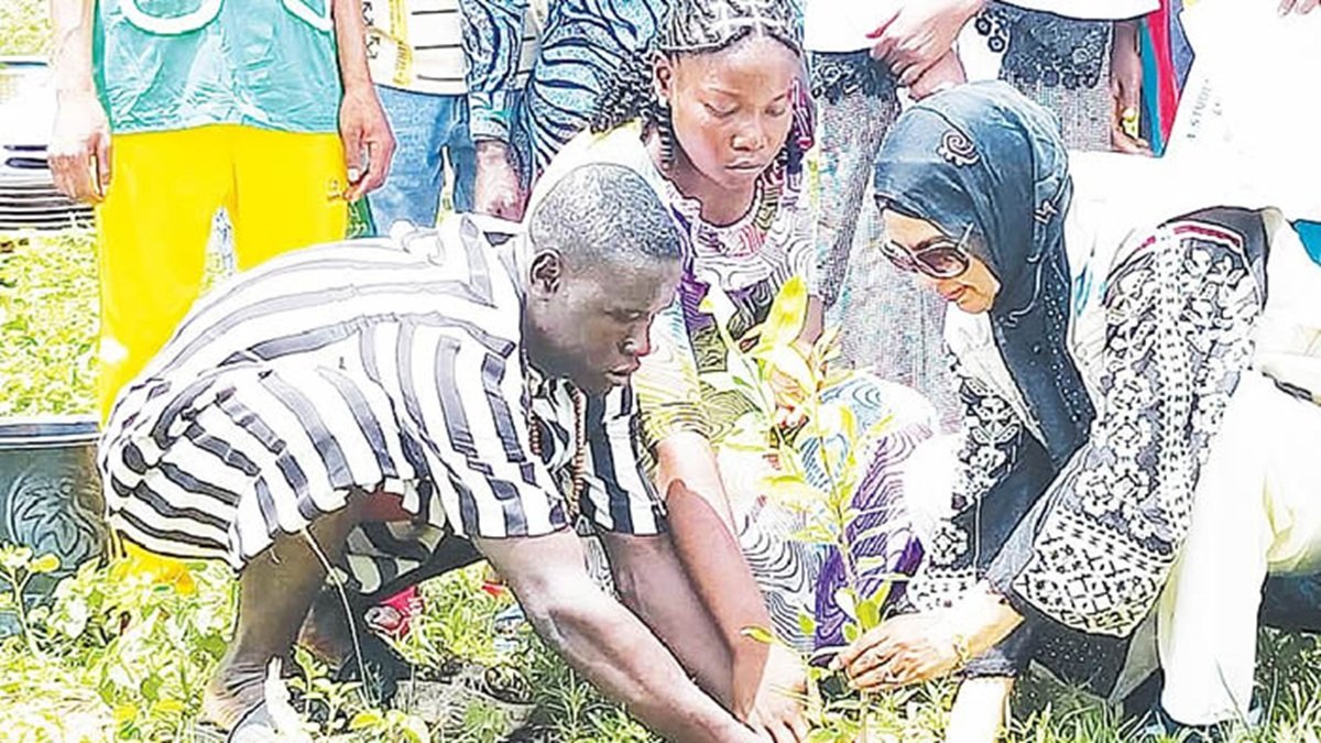 UNICEF Champions Tree Planting Culture Among Bauchi Youths
