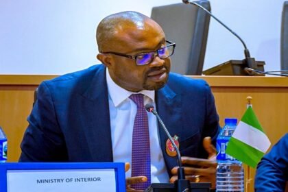 FG Issues 3.5m Passports in Two Years, Saves N1bn Through Reforms