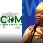 NiDCOM Condemns Killing of Two Nigerians in South Africa