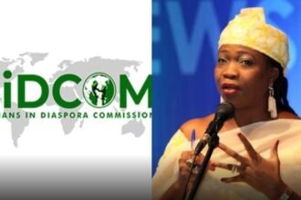 NiDCOM Condemns Killing of Two Nigerians in South Africa