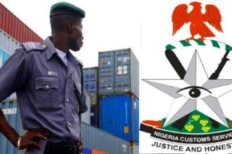 Nigeria Customs Intercepts Donkey Genitals in Wildlife Trafficking Crackdown
