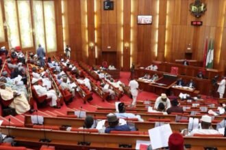 Nigerian Senate to NDLEA: Pay Family ₦200m for Child’s Death