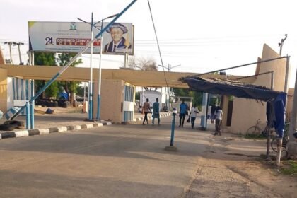 Tinubu Immortalizes Buhari with UNIMAID Rename