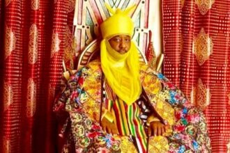 Sanusi Demands Tougher Punishment for Wife Beaters in Kano