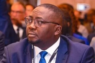 Adelabu: Nigeria to Build $18.2 Billion Super Grid