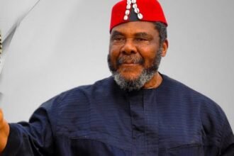 Pete Edochie: 'Igbos are Not Built for Treachery
