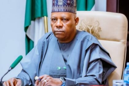 Renewable Energy, Nigeria, Kashim Shettima, Clean Energy, Solar Power, Local Manufacturing,