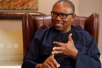 Nigeria’s Economic Growth Hindered by Drop in FDI - Obi Blames Poor Leadership