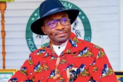 Indigeneship Bill Withdrawn by Deputy Speaker Kalu