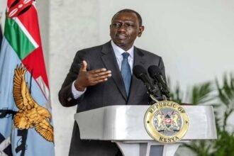 Ruto Frowns on Overthrow Plot, Vows Action on Violent Protests