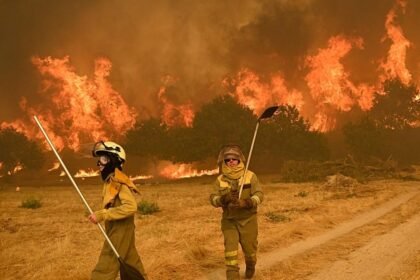 Two Firefighters Die as Spain, Portugal Battle Heatwave Infernos