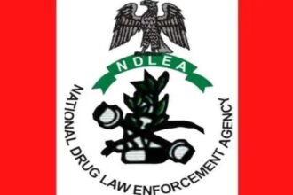 NDLEA Intercepts Illicit Drugs Hidden in Vehicle Side Mirrors