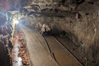 Niger Junta Seizes Industrial Gold Mine from Australian Firm