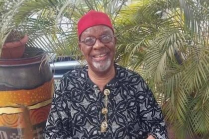 Nollywood Veteran Fabian Adibe of Things Fall Apart Dies at 81