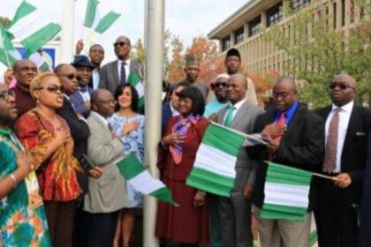 Nigerians Abroad Vital to Nation Building, Says Tinubu