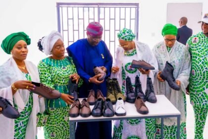 Lagos Set for N387bn Revenue from Leather Hub