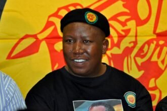 Julius Malema Reaffirms Call for One Africa