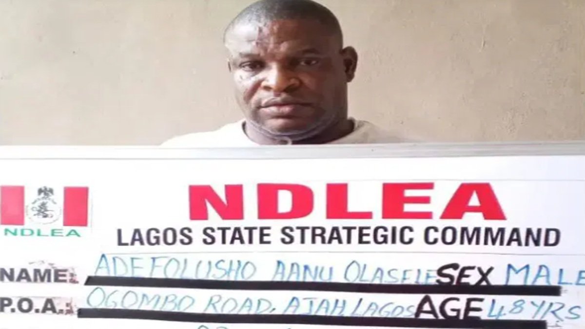Lagos Prophet Nabbed for Cross-Border Cannabis Smuggling
