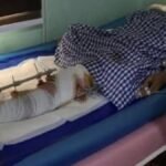 Dangote Group Pledges Medical Support for BBNaija Phyna’s Sister After Edo Truck Accident