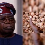 JUST IN: Tinubu Orders Temporary Ban on Raw Shea Nut Export