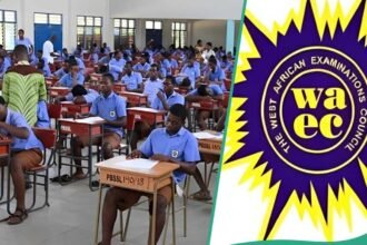 WAEC Releases Revised 2025 WASSCE Results, Apologises for Grading Error