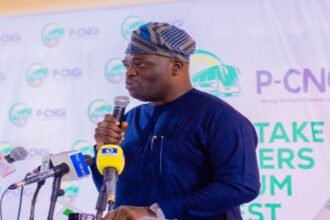 Compressed Natural Gas Price Rises to N450/SCM