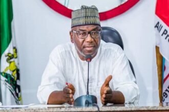 Kwara Backs Tinubu’s Shea Export Ban, Unveils 50-Tonne Factory
