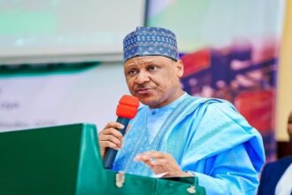 FG's Anti-Corruption Agencies Not for Political Witch-Hunt - Idris
