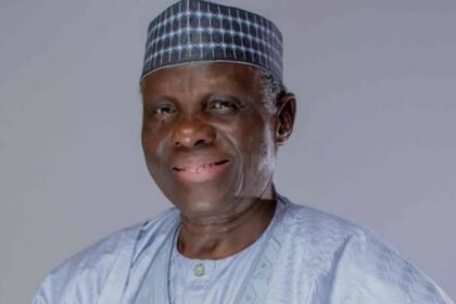 Jerry Gana: Jonathan Set for 2027 Presidency