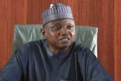 Jonathan Links Buhari to Boko Haram, Shehu Fires Back