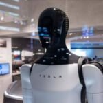 Tesla Optimus Performs Kung Fu in AI Demo