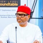 Minister Nnaji Resigns from Tinubu’s Cabinet