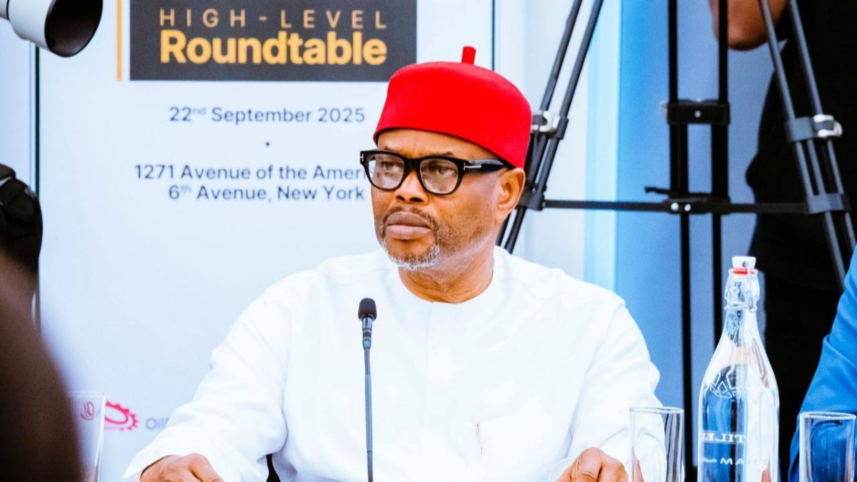 Minister Nnaji Resigns from Tinubu’s Cabinet