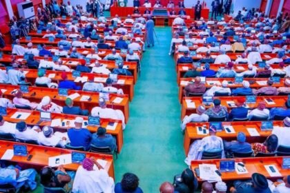 NASS Proposes November 2026 for 2027 Elections