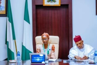 Shettima Steps Aside as Joy Ogah Becomes Vice President for a Day