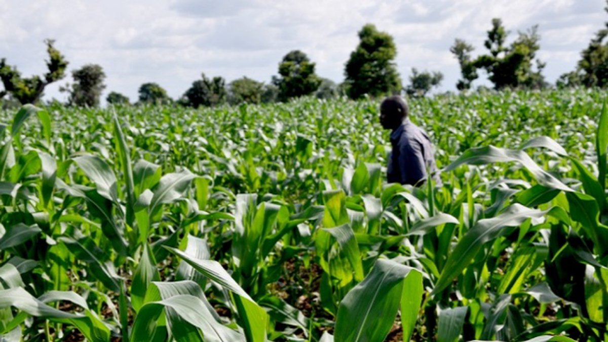 BOA, IOM Unveil $200m Support Fund