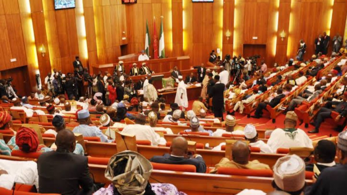 Senate Screens Tinubu’s New Service Chiefs