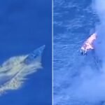 US Strike Kills Four as Drug Boat Sinks Off Venezuelan Coast