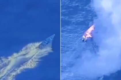 US Strike Kills Four as Drug Boat Sinks Off Venezuelan Coast